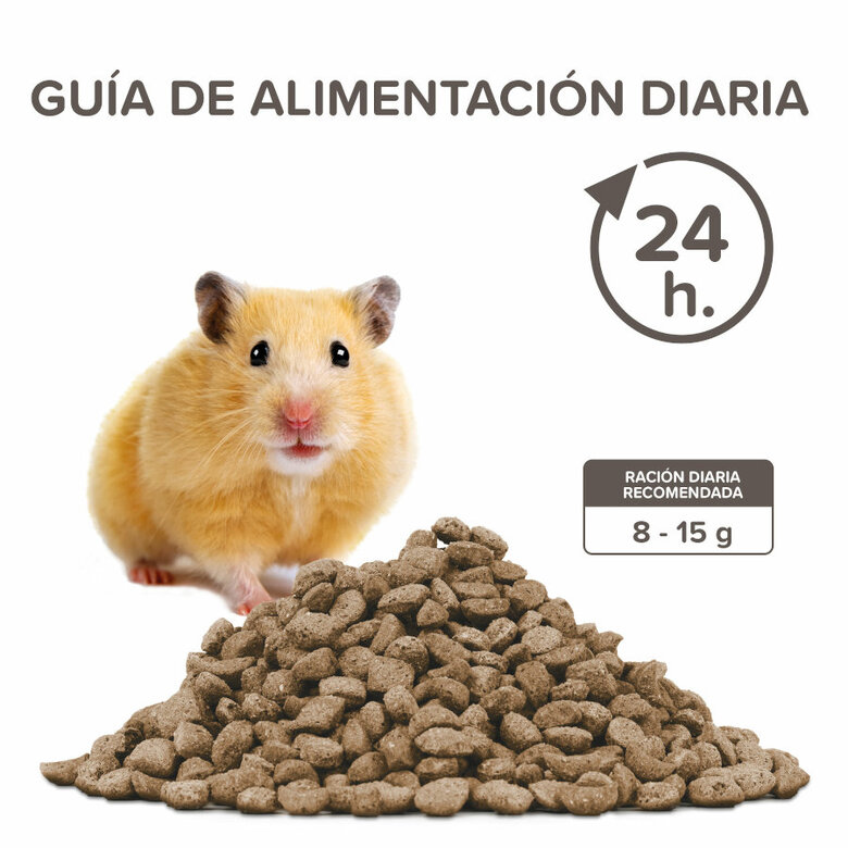 Beaphar Care+ Hamster ração para hamsteres, , large image number null