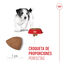 8 kg Royal Canin Mini Puppy ração para cães, , large Indicador imagem número 5