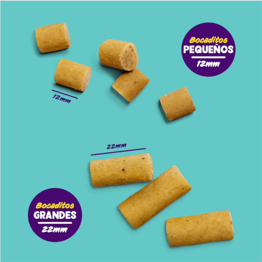 50 g Edgard y Cooper Snacks Grandes de Frango para c&atilde;es , , large Imagem n&uacute;mero 4