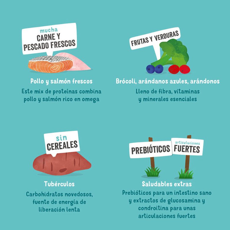 7 kg Edgard & Cooper Senior Salmão da Noruega e Frango ração para cães,  Imagem número 4 7 kg Edgard & Cooper Senior Salmão da Noruega e Frango ração para cães, , large Imagem número 4