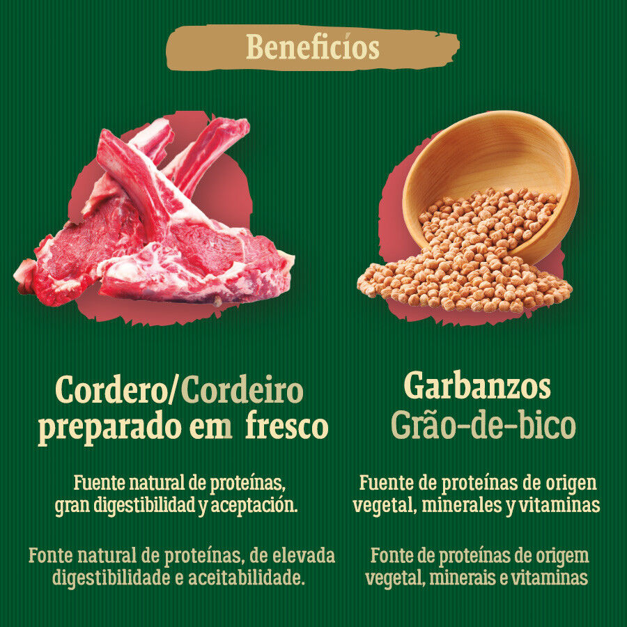 true blue jordan 1 mid