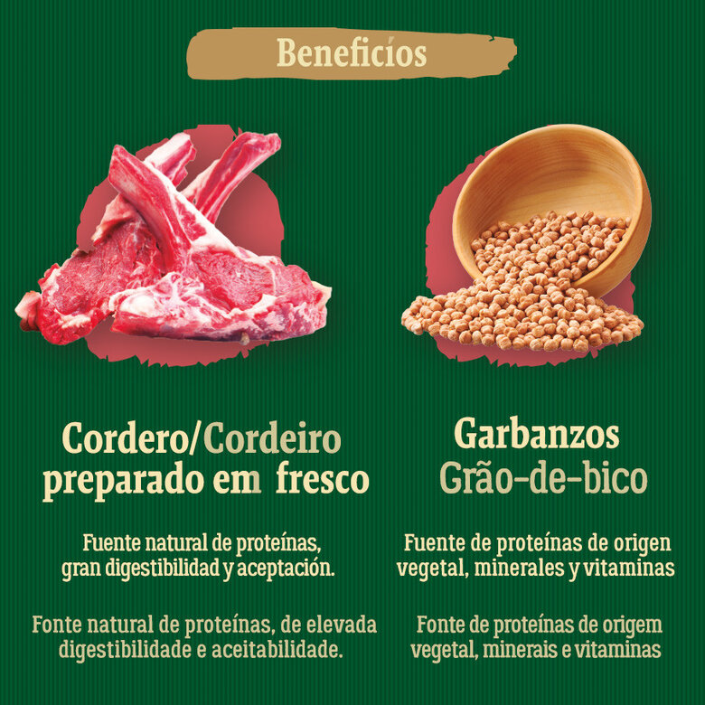 True Origins Wild Forest ração de cordeiro para cães | Tiendanimal