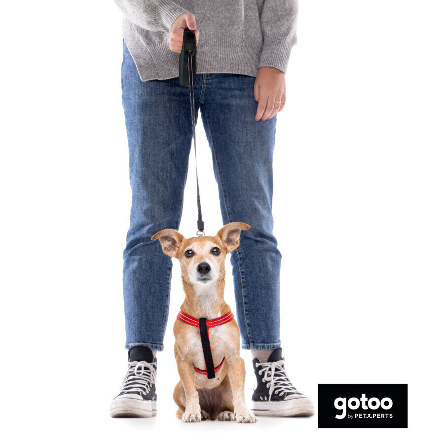 Gotoo Trela extens&iacute;vel preta para c&atilde;es, , large Imagem n&uacute;mero 5