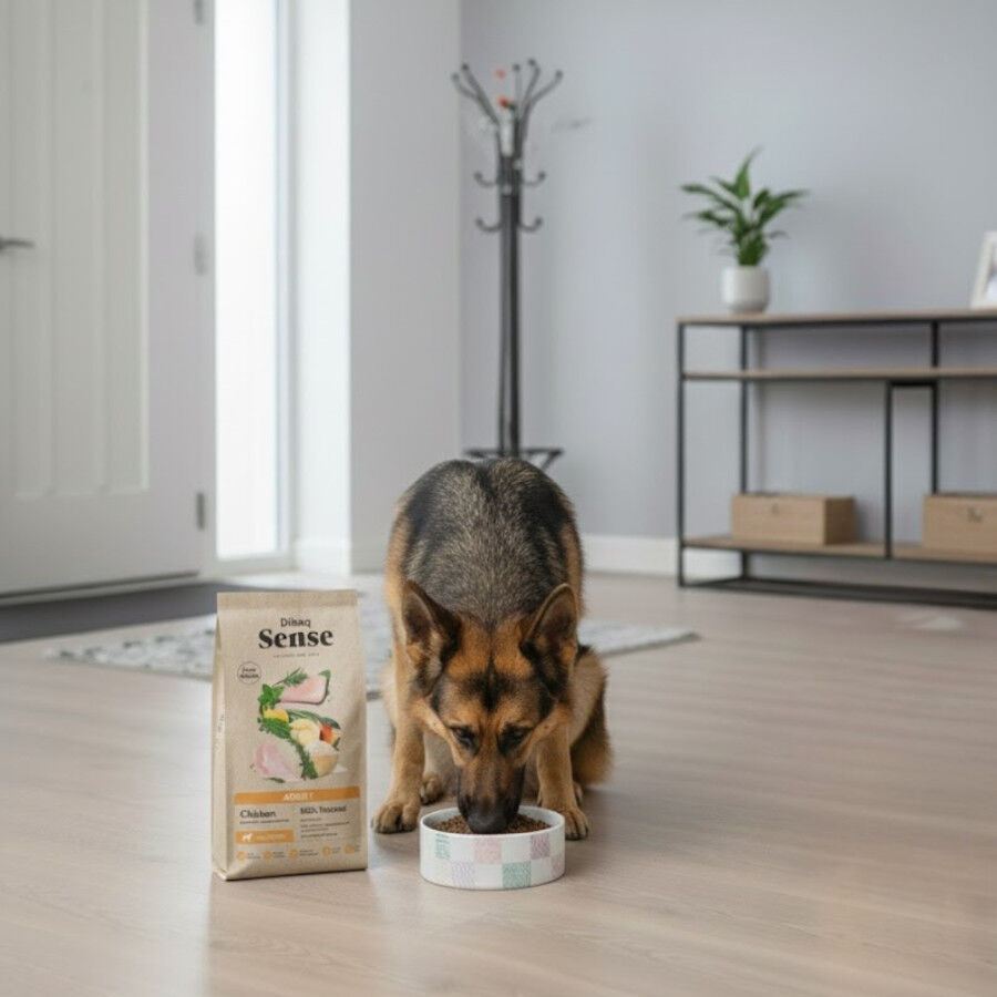 Dibaq Sense Low Grain Adult Ra&ccedil;&atilde;o de Frango para c&atilde;es, , large Imagem n&uacute;mero 5