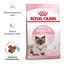 10 kg Royal Canin Mother & Baby ração para gatos, , large Indicador imagem número 2