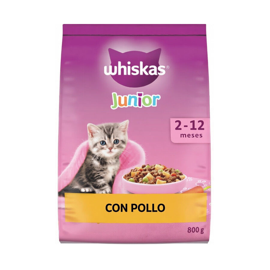 800g Whiskas Junior Ra&ccedil;&atilde;o de frango para gatos, , large Imagem n&uacute;mero 1