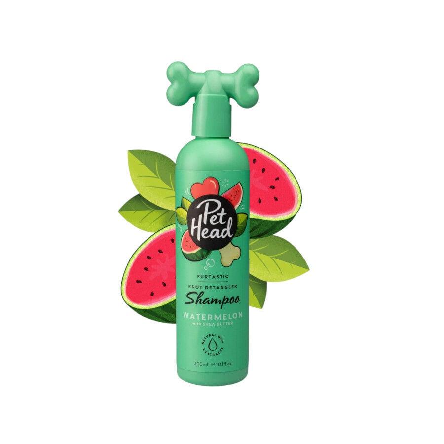 Pet Head Shampoo desembara&ccedil;ador para cachorro de pelos compridos  300ml, , large Imagem n&uacute;mero 1