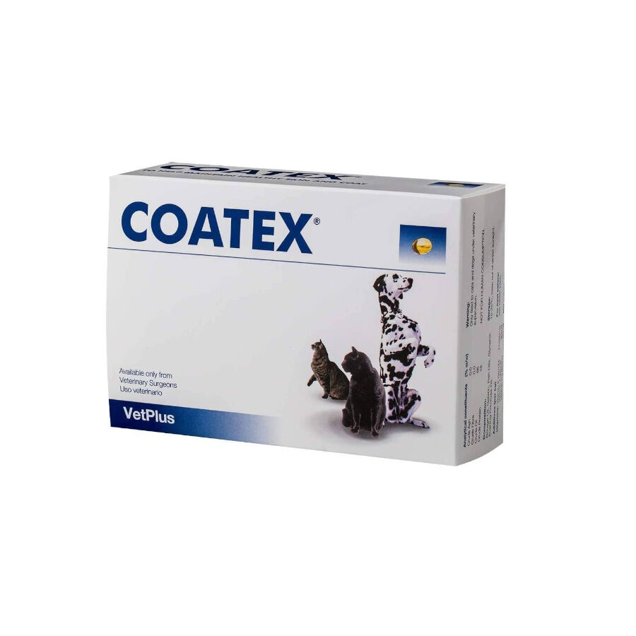 VetPlus Coatex Suplemento Vitam&iacute;nico para animais de estima&ccedil;&atilde;o, , large Imagem n&uacute;mero 1