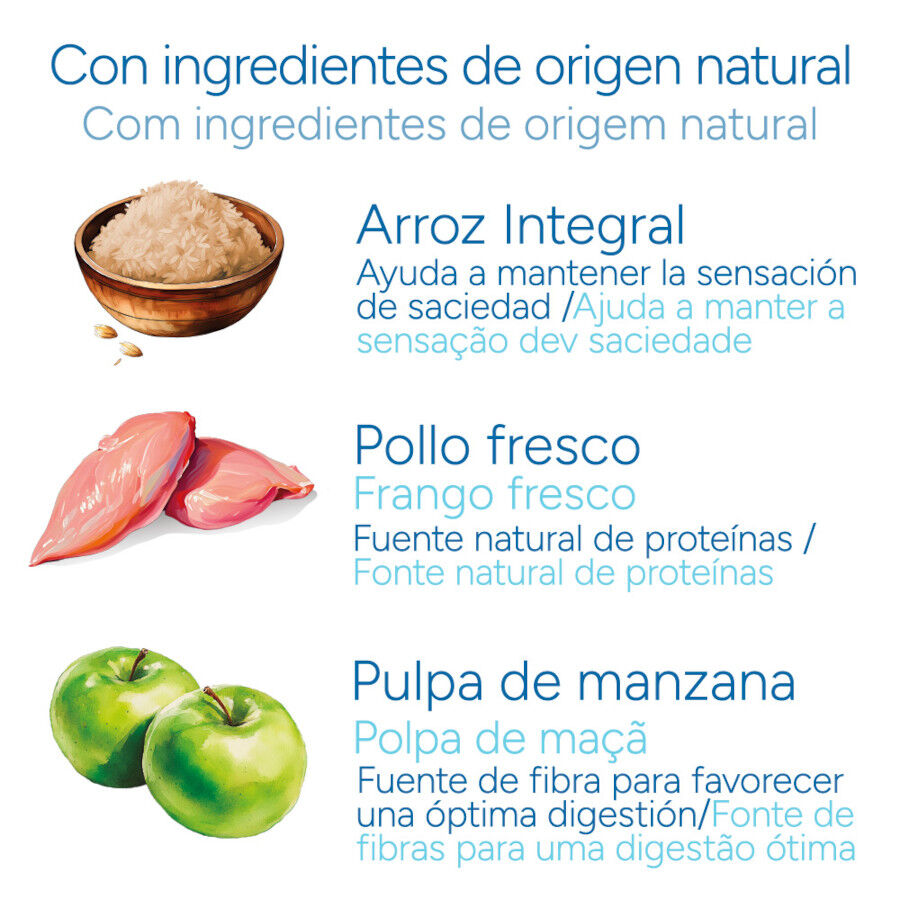 Criadores Cient&iacute;fico Medium-Maxi Ra&ccedil;&atilde;o de frango para cachorros, , large Imagem n&uacute;mero 5