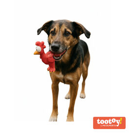 Tootoy! Chew Brinquedo galinha divertida para cães