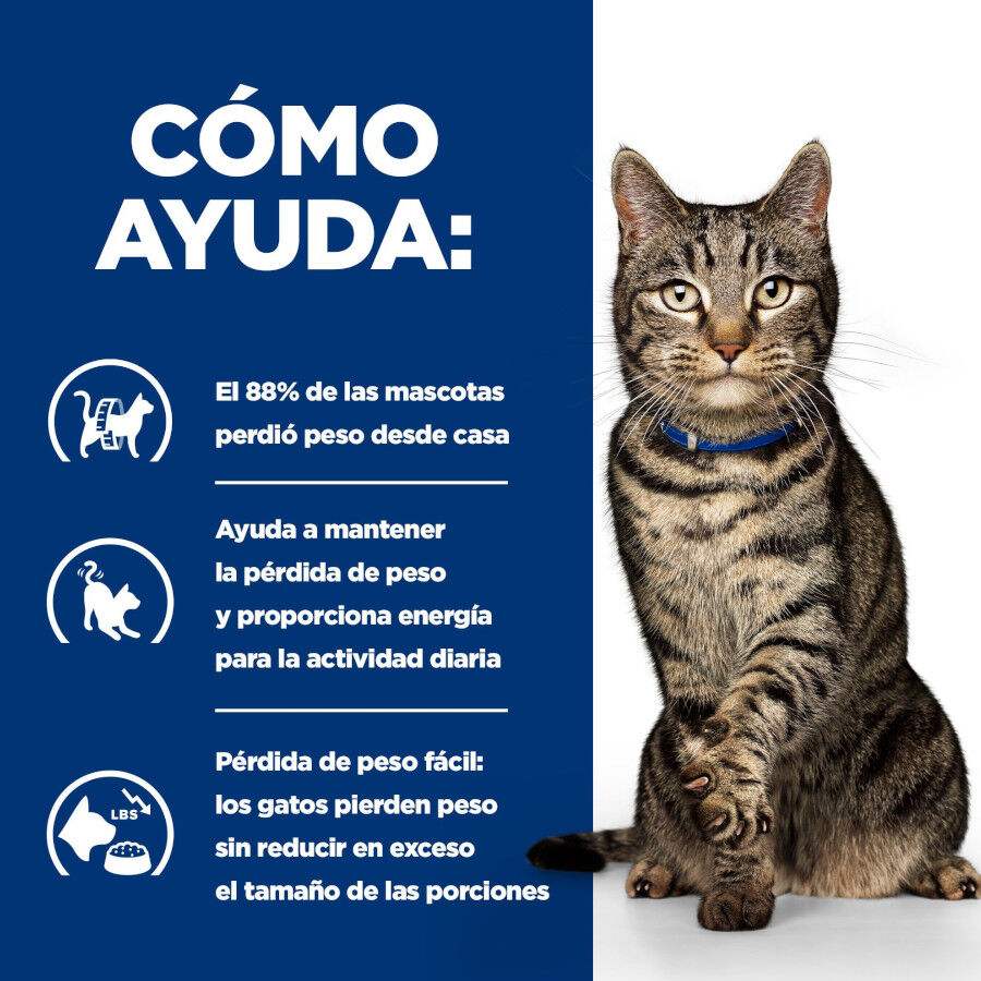 3 kg Hill's Prescription Diet Metabolic Ra&ccedil;&atilde;o de atum para gatos, , large Imagem n&uacute;mero 4