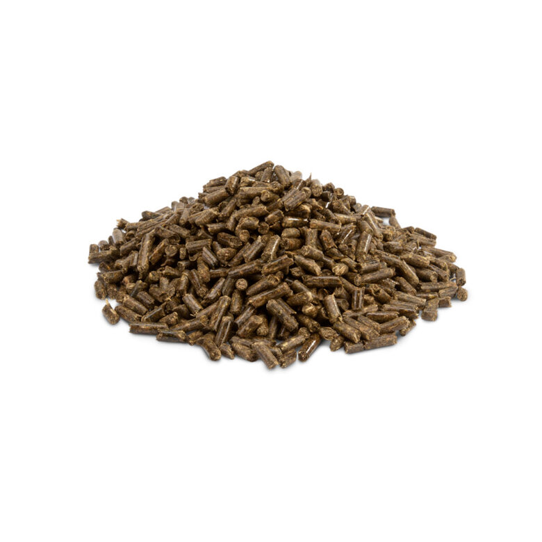 Versele-Laga Crispy Pellets ração para chinchilas e degus,  Imagem número 2 Versele-Laga Crispy Pellets ração para chinchilas e degus, , large Imagem número 2