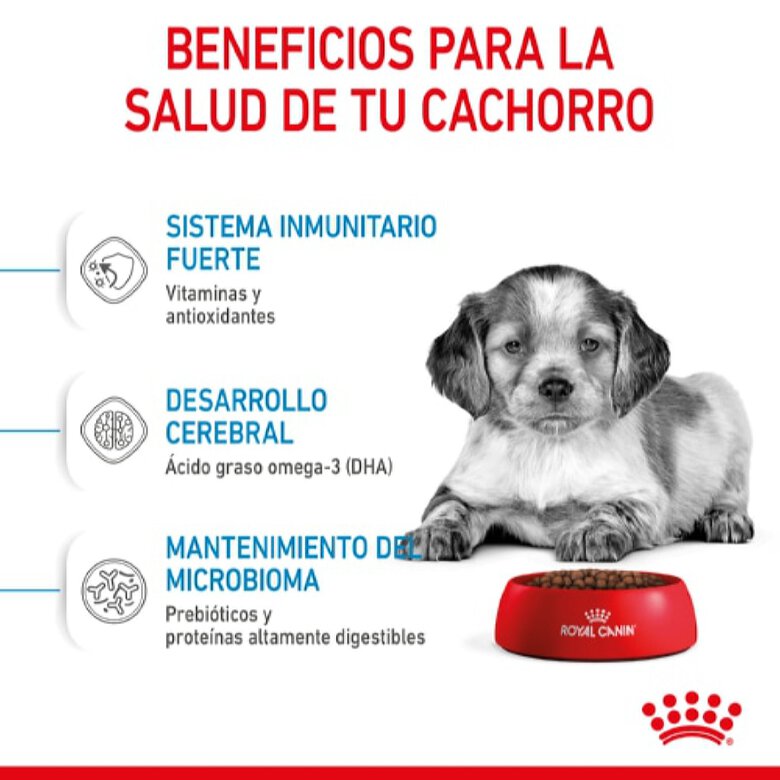 Royal Canin Puppy Medium ração para cães, , large image number null