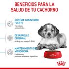 Royal Canin Puppy Medium ração para cães, , large image number null