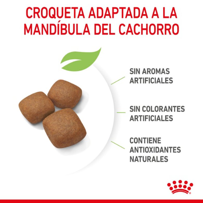 Royal Canin Junior Giant ração para cães, , large image number null