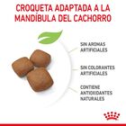 Royal Canin Junior Giant ração para cães, , large image number null