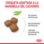 15 kg Royal Canin Junior Giant ração para cães, , large Indicador imagem número 4