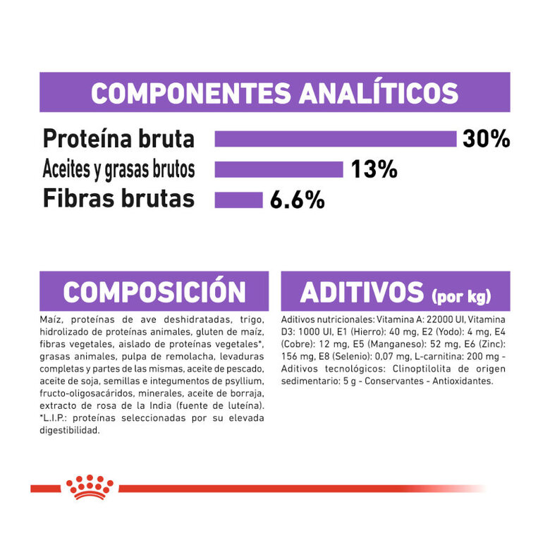 Royal Canin Mini Sterilised ração para cães, , large image number null