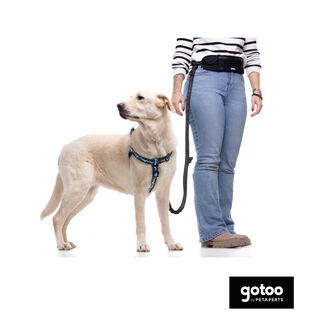 Gotoo Trela mãos livres preta para cães