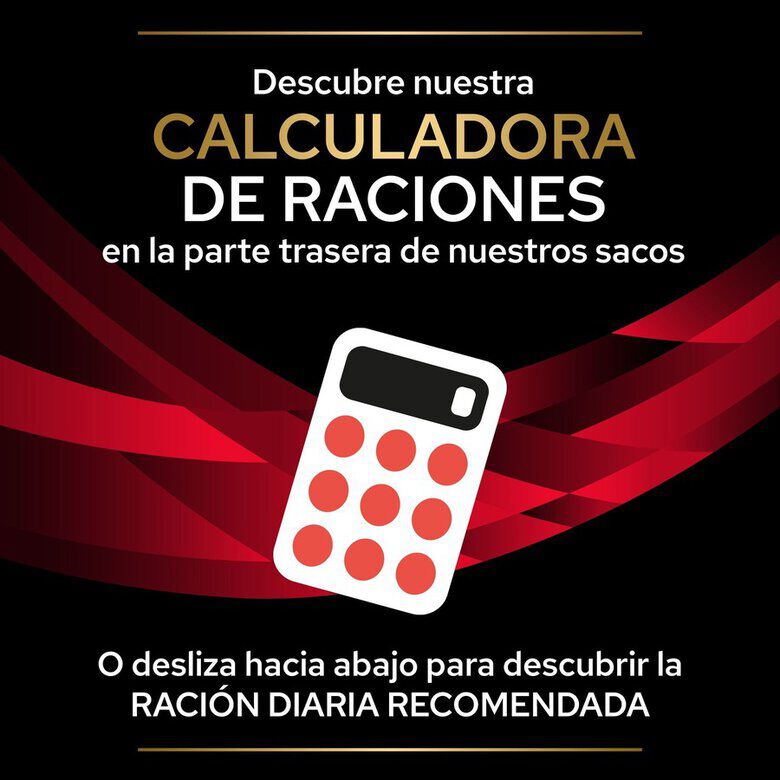 10 saquetas x 85 g Pro Plan Veterinary Diets DM saquetas para gatos , , large Imagem n&uacute;mero 7