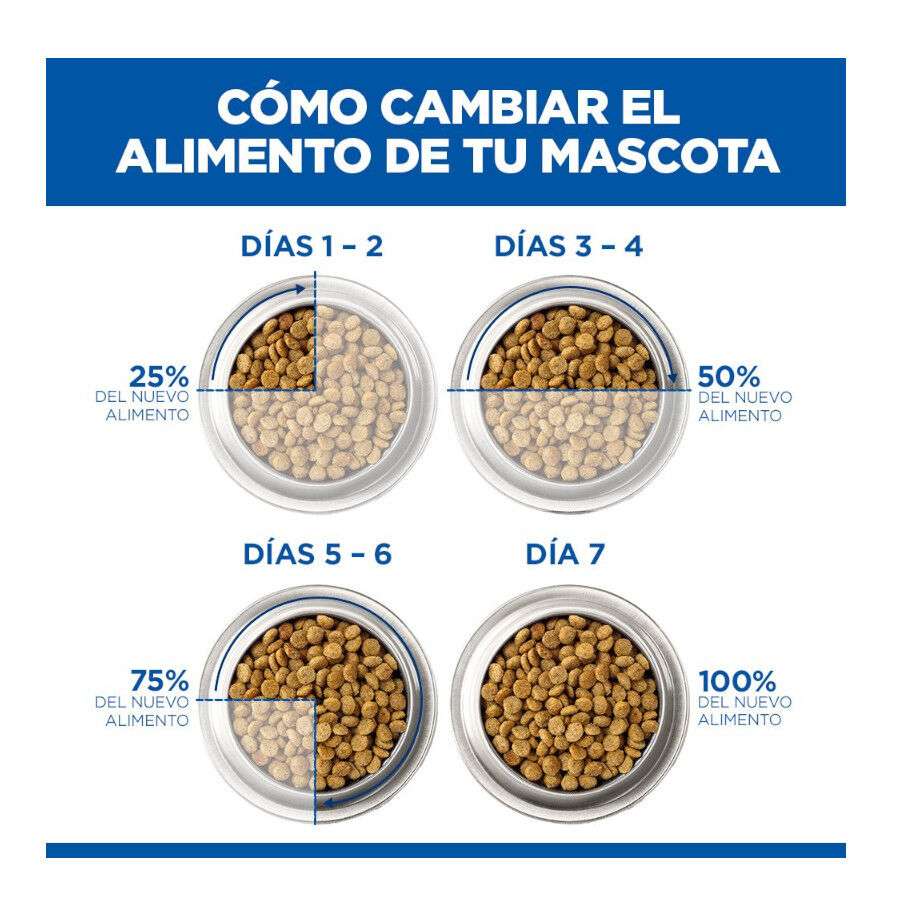 18 kg Hill's Science Plan Large Adult Frango ra&ccedil;&atilde;o para c&atilde;es, , large Imagem n&uacute;mero 11