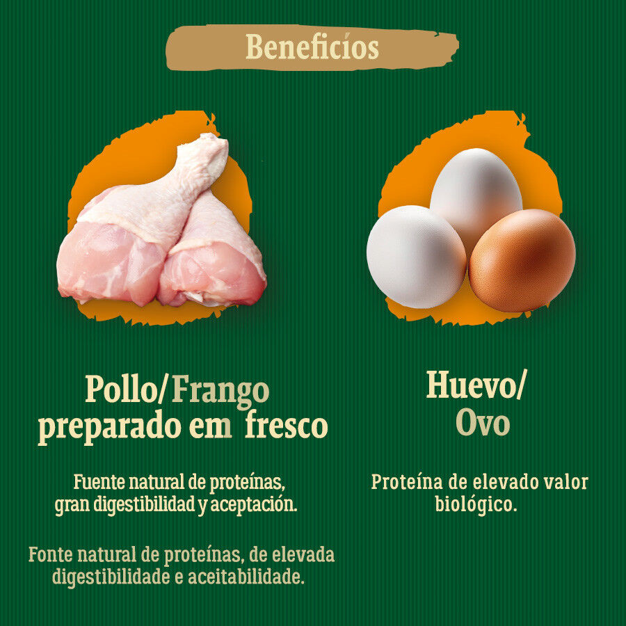 True Origins Wild Senior Country Water ra&ccedil;&atilde;o de frango para c&atilde;es, , large Imagem n&uacute;mero 5