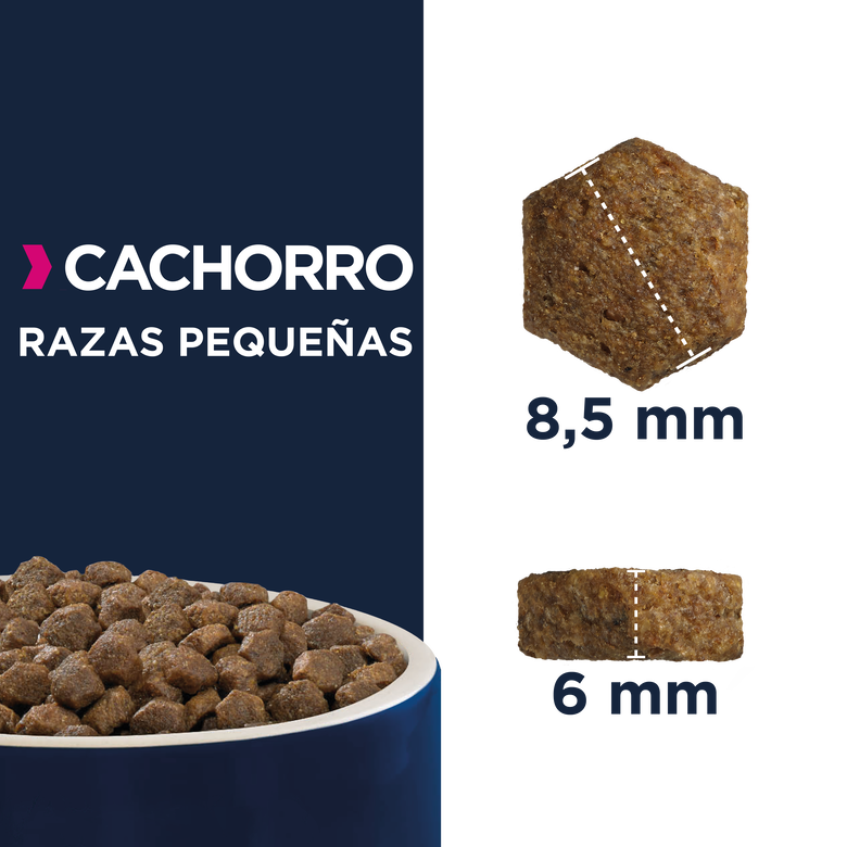 3 kg Eukanuba Puppy&Junior Small Frango ração para cães,  Imagem número 2 3 kg Eukanuba Puppy&Junior Small Frango ração para cães, , large Imagem número 2