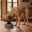 Leeby Comedouro Antivoracidade Azul com Relevo de Pata para c&atilde;es, , large Indicador imagem n&uacute;mero 1
