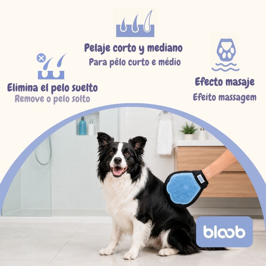 Bloob Luva-Escova para c&atilde;es, , large Imagem n&uacute;mero 3