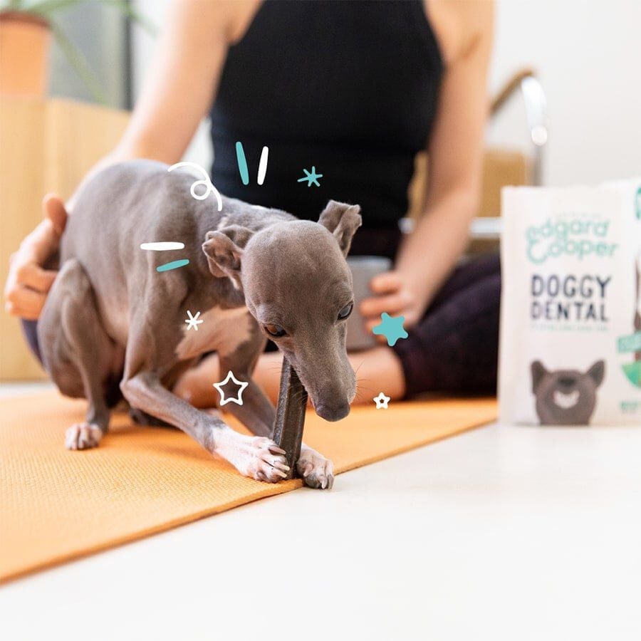 7 sticks &nbsp;Edgard y Cooper Snacks dent&aacute;rios Adult Large para c&atilde;es , , large Imagem n&uacute;mero 2