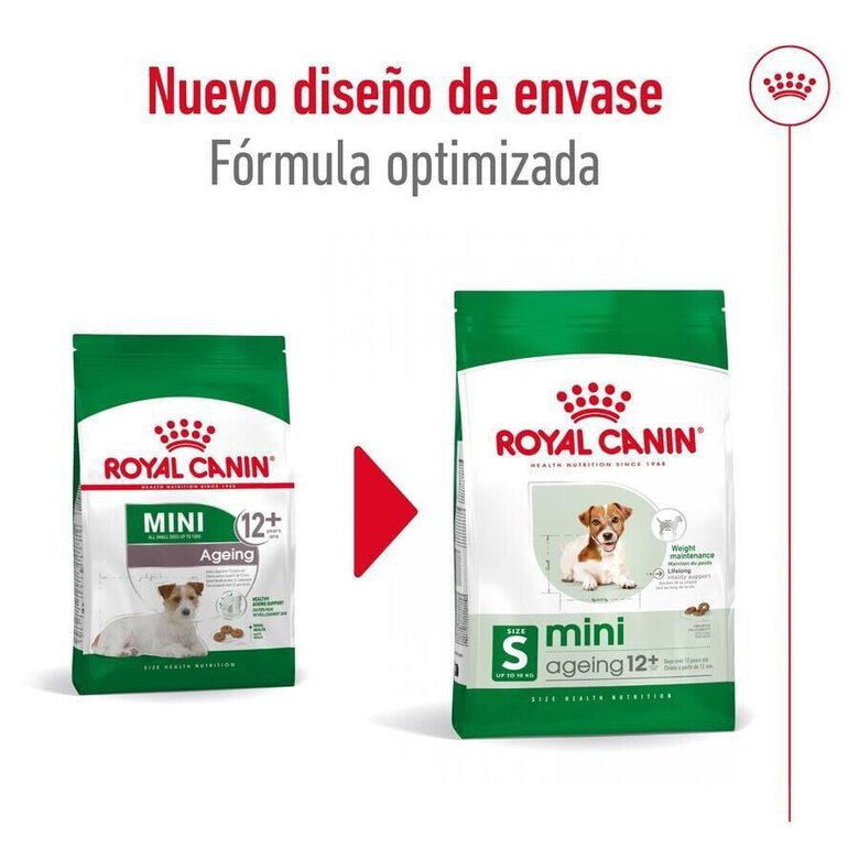 3.5 kg Royal Canin Mini 12+ Ageing ração para cães,  Imagem número 3 3.5 kg Royal Canin Mini 12+ Ageing ração para cães, , large Imagem número 3