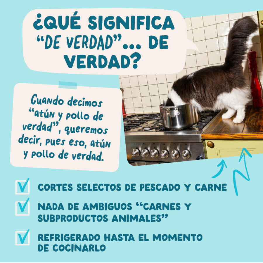 85 g Edgard & Cooper Comida h&uacute;mida de atum e frango em molho em saquetas para gatos, , large Imagem n&uacute;mero 5