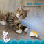 Outward Hound Catstages Dental Peluche Banana para gatos, , large Indicador imagem número 3