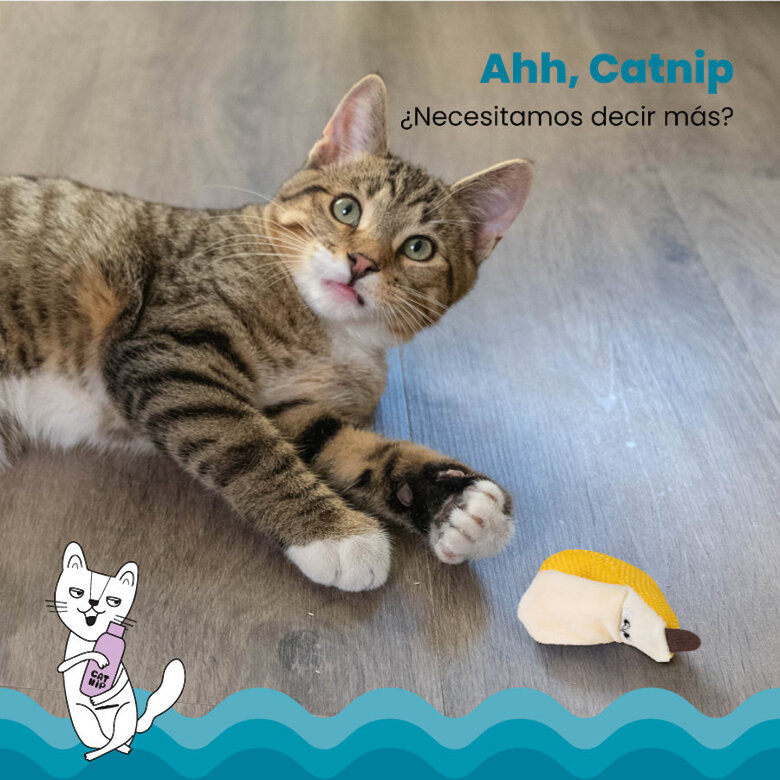 Catstages Dental Peluche Banana para gatos,  Imagem número 3 Catstages Dental Peluche Banana para gatos, , large Imagem número 3