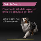 Pro Plan Skin & Coat Suplemento em Óleo para cães, , large image number null