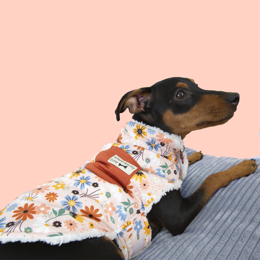 Outech Spring casaco de flores para c&atilde;es, , large Imagem n&uacute;mero 3