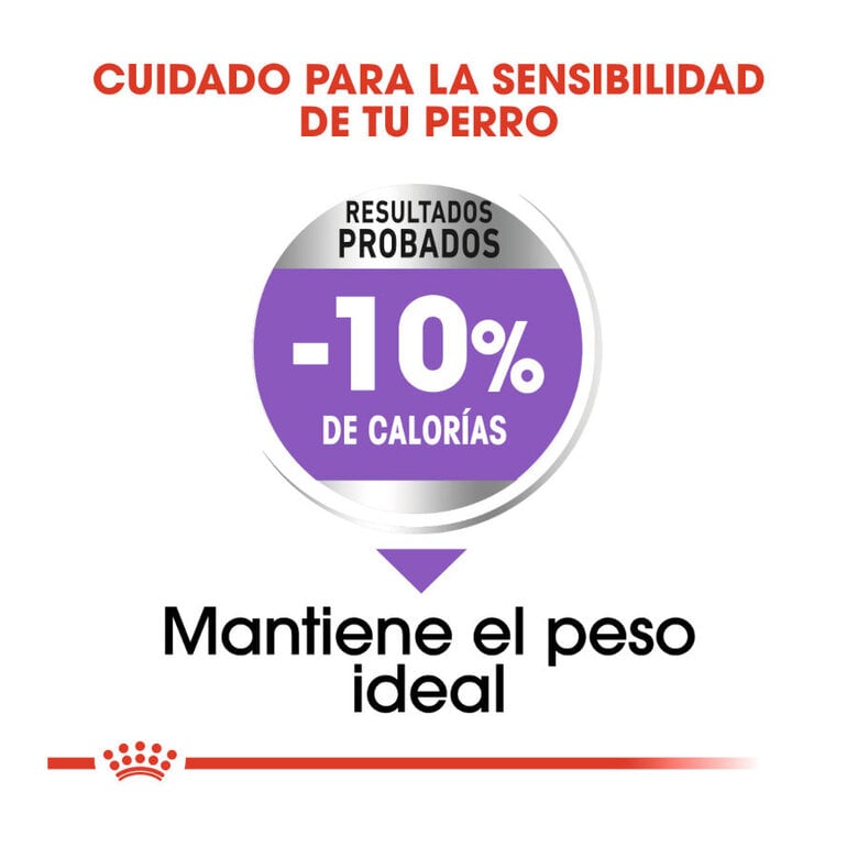 12 kg Royal Canin Sterilised Medium ração para cães,  Imagem número 6 12 kg Royal Canin Sterilised Medium ração para cães, , large Imagem número 6