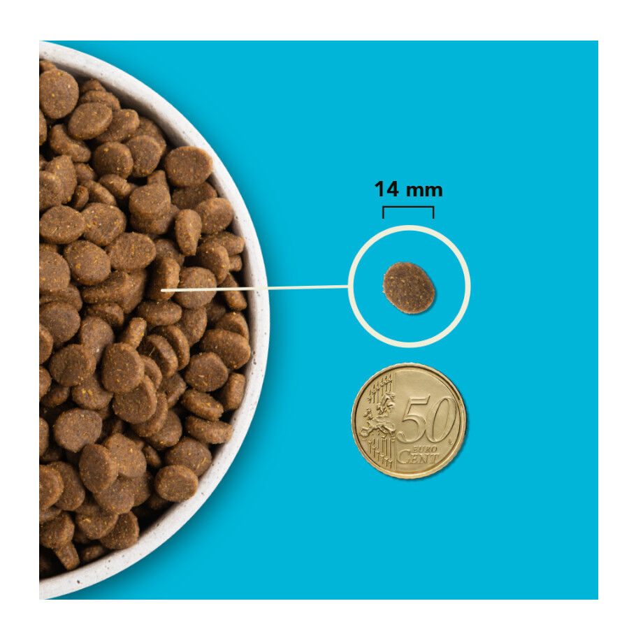 2 x 6 kg Acana Regionals Pac&iacute;fica Peixe Ra&ccedil;&atilde;o para c&atilde;es Pack poupan&ccedil;a!, , large Imagem n&uacute;mero 7