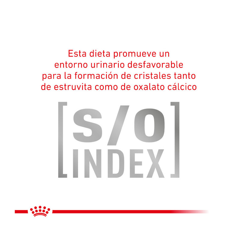 4 kg Royal Canin Veterinary Gastrointestinal Fibre Response ração para gatos,  Imagem número 6 4 kg Royal Canin Veterinary Gastrointestinal Fibre Response ração para gatos, , large Imagem número 6