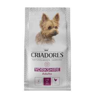 Criadores Yorkshire Terrier Frango ração para cães