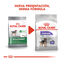 2 x 8 kg Royal Canin Mini Sterilised ração para cães Pack poupança!, , large Indicador imagem número 3