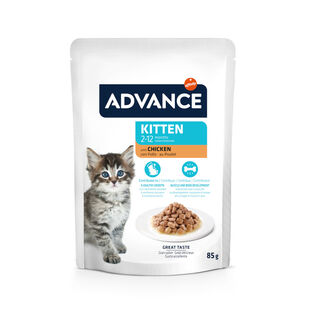 Advance Kitten Frango Saqueta em Molho