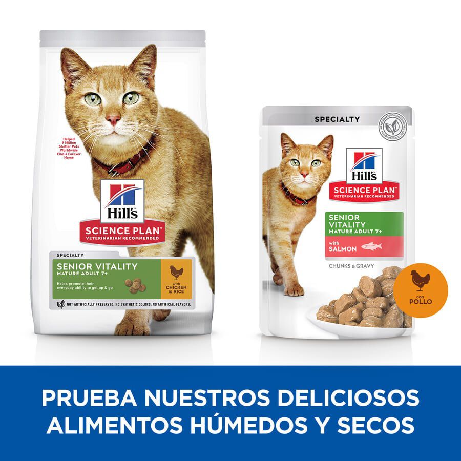 85 g Hill's Adult Mature Science Plan Youthful Vitality Frango em Molho saqueta para gatos, , large Imagem n&uacute;mero 4