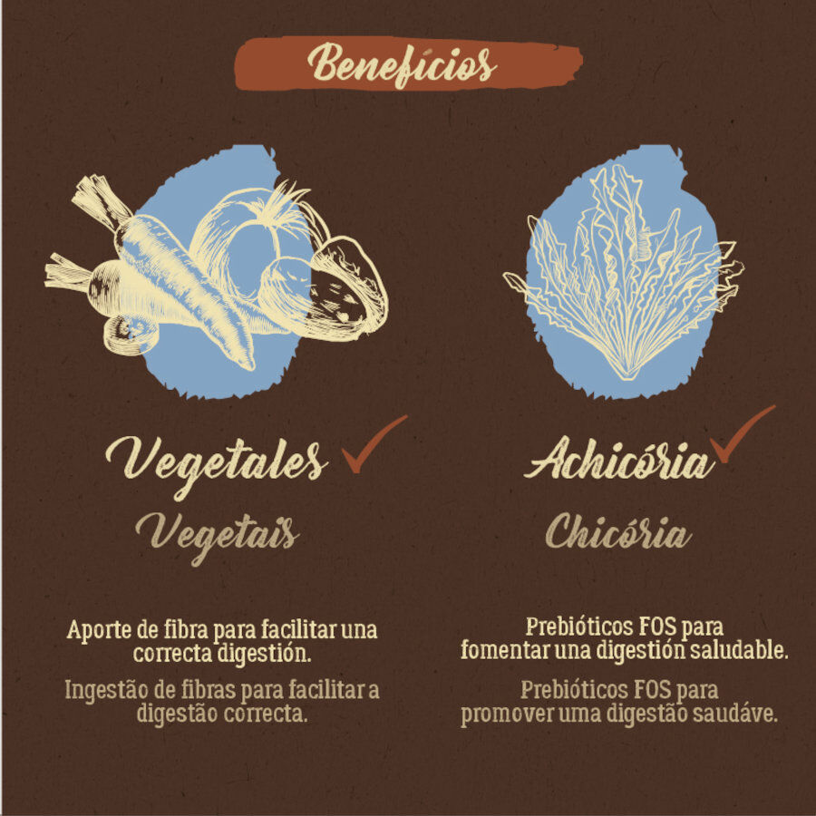 12 kg True Origins Pure Salm&atilde;o ra&ccedil;&atilde;o para c&atilde;es, , large Imagem n&uacute;mero 6