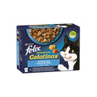 Felix Sensations Seleção de Peixes saquetas em galeia – Pack 4, , large image number null