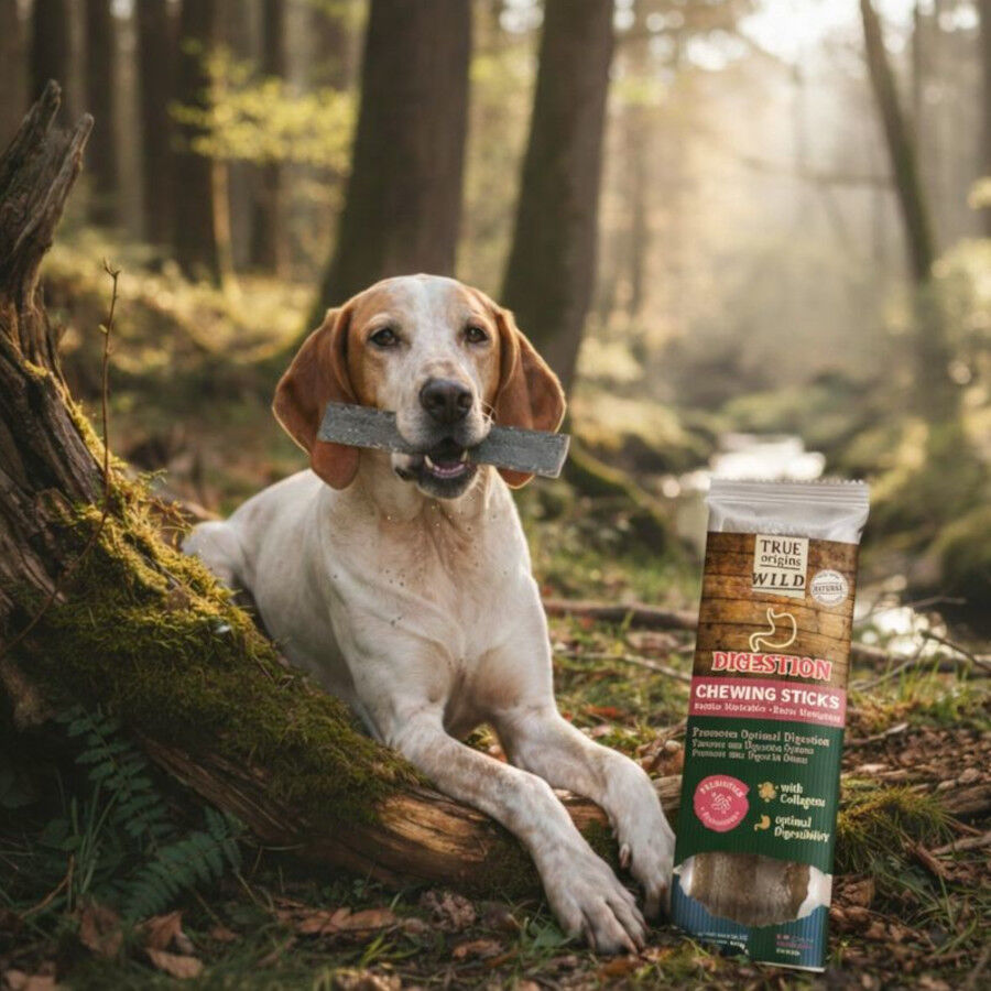 1 ud. True Origins Digestion Chewing Sticks Snack para perros, , large Imagem n&uacute;mero 1