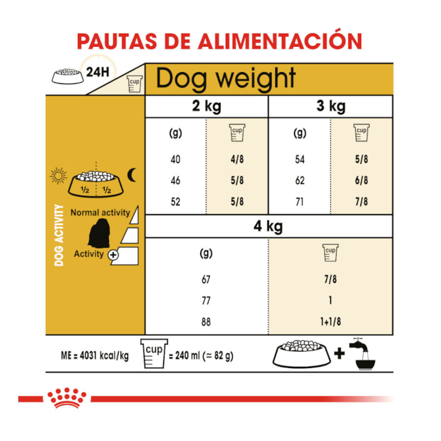 1.5 kg Royal Canin Adult Bich&oacute;n Malt&ecirc;s ra&ccedil;&atilde;o para c&atilde;es , , large Imagem n&uacute;mero 8
