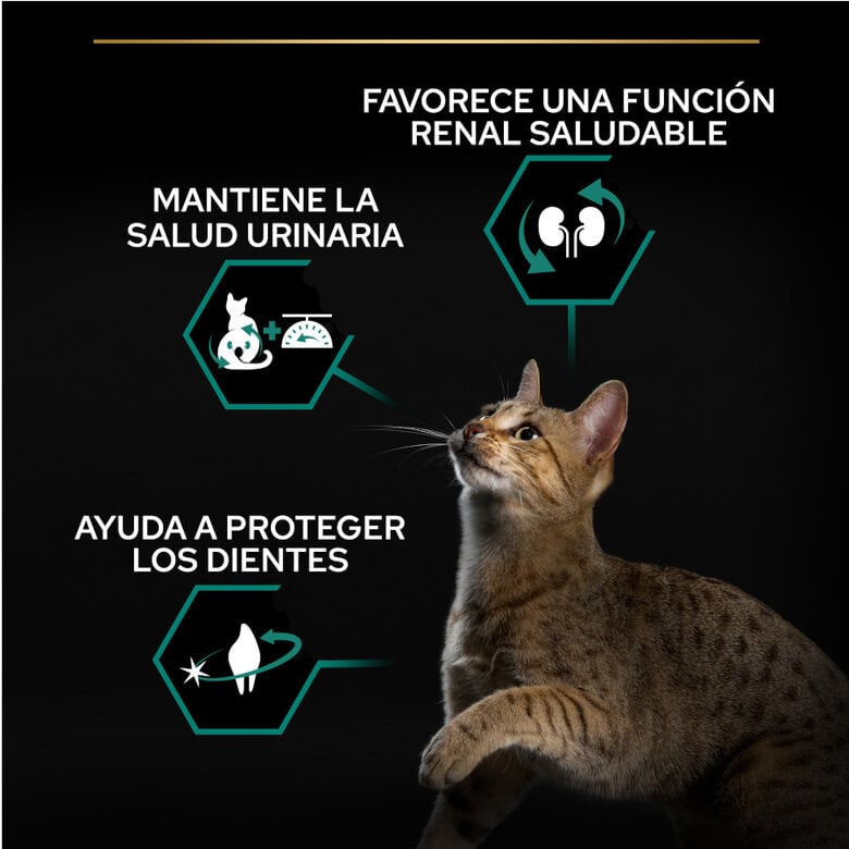 12 kg (10 + 2 kg grátis!) Pro Plan Adult Sterilized Salmão ração para gatos,  Imagem número 2 12 kg (10 + 2 kg grátis!) Pro Plan Adult Sterilized Salmão ração para gatos, , large Imagem número 2