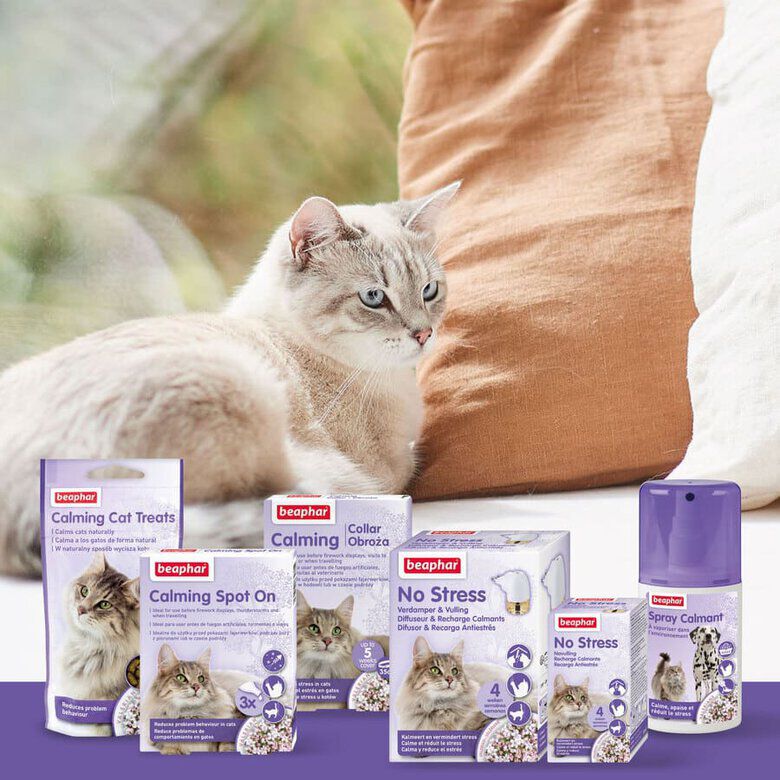 Beaphar Calming Collar Relajante para gatos5 Imagem n&uacute;mero 5