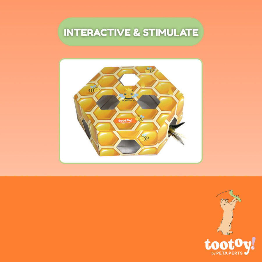 Tootoy! Interactive & Stimulate Brinquedo interativo para gatos, , large Imagem n&uacute;mero 3